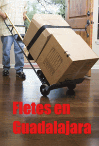 fletes en guadalajara