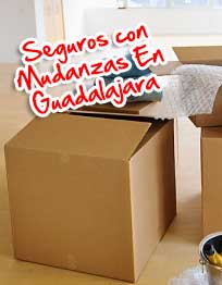 mudanzas en guadalajara con seguro